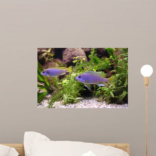 Blue Perch Wall Mural