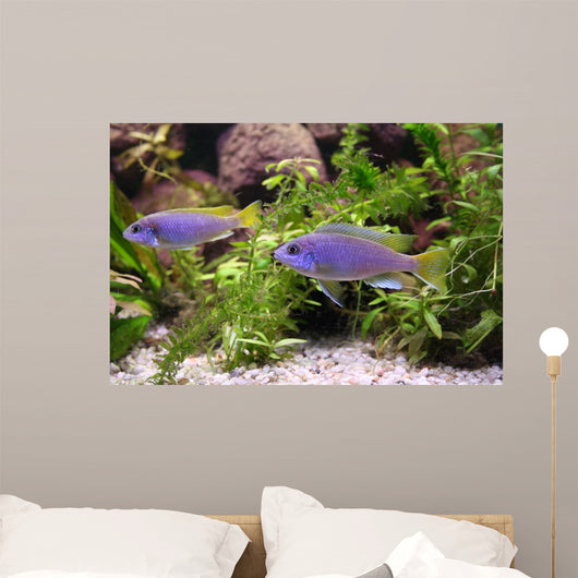 Blue Perch Wall Mural