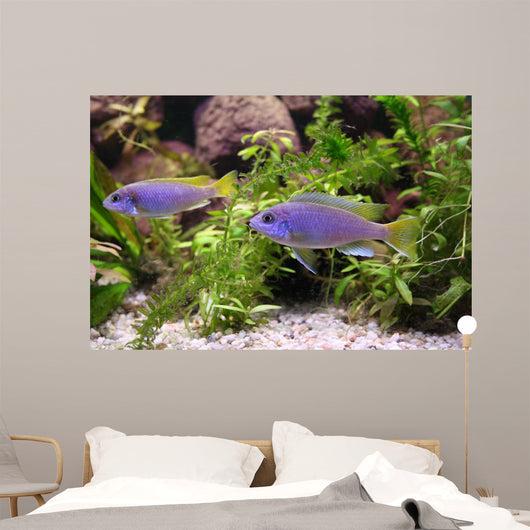 Blue Perch Wall Mural