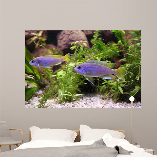 Blue Perch Wall Mural
