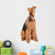 Airedale Terrier dog isolated Wall Decal