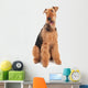 Airedale Terrier dog isolated Wall Decal