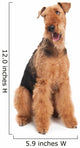 Airedale Terrier dog isolated Wall Decal