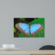 Blue Morpho Wall Mural
