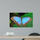 Blue Morpho Wall Mural