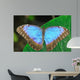Blue Morpho Wall Mural