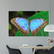 Blue Morpho Wall Mural
