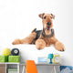 Airedale Terrier dog isolated Wall Decal