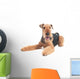 Airedale Terrier dog isolated Wall Decal