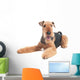 Airedale Terrier dog isolated Wall Decal