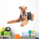 Airedale Terrier dog isolated Wall Decal