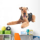 Airedale Terrier dog isolated Wall Decal