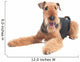 Airedale Terrier dog isolated Wall Decal