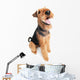 Airedale Terrier dog isolated Wall Decal