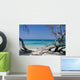 Corse Wall Decal Design 1