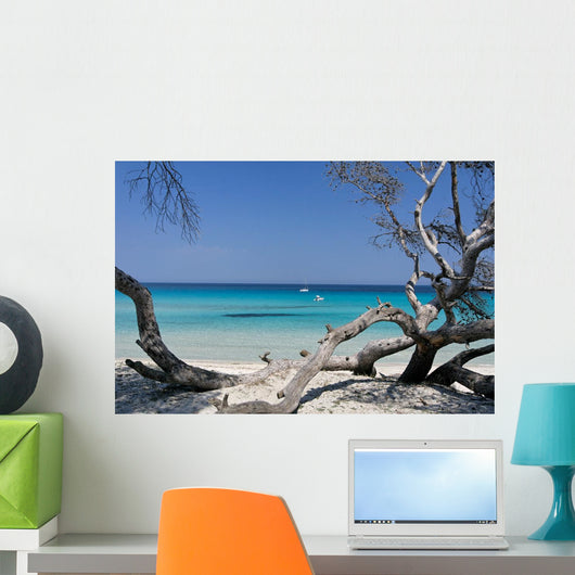 Corse Wall Decal Design 1
