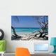 Corse Wall Decal Design 1