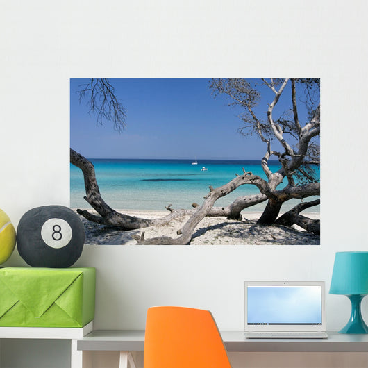 Corse Wall Decal Design 1