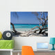 Corse Wall Decal Design 1