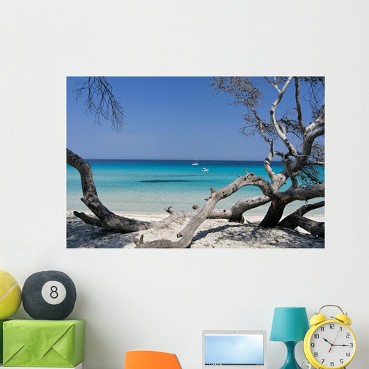 Corse Wall Decal Design 1