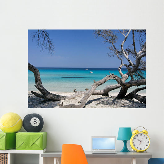 Corse Wall Decal Design 1