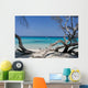 Corse Wall Decal Design 1