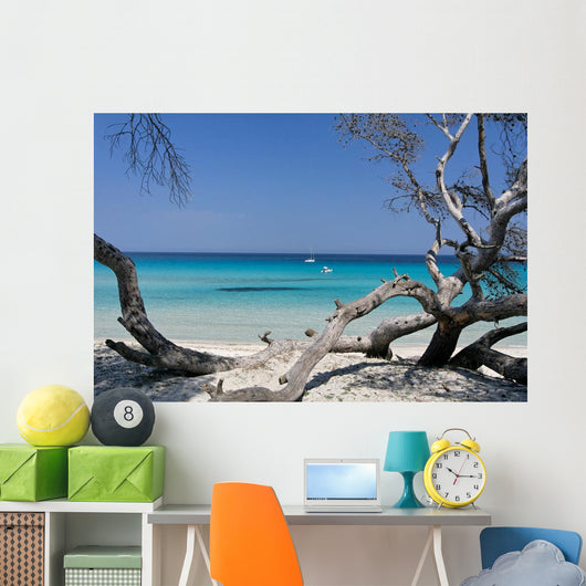Corse Wall Decal Design 1