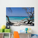 Corse Wall Decal Design 1