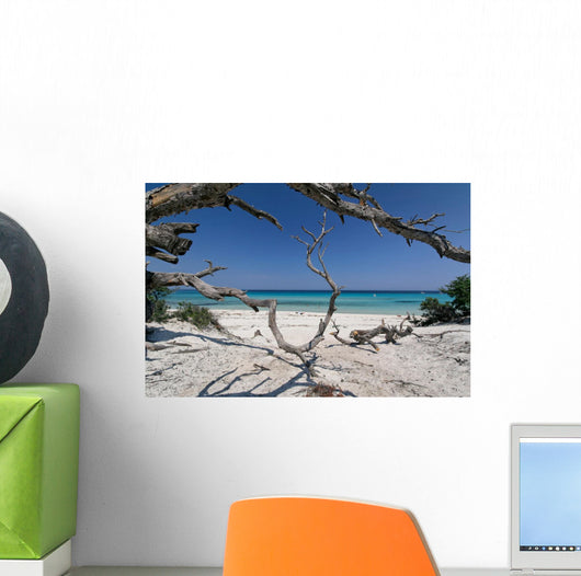 corse plage saleccia Wall Mural