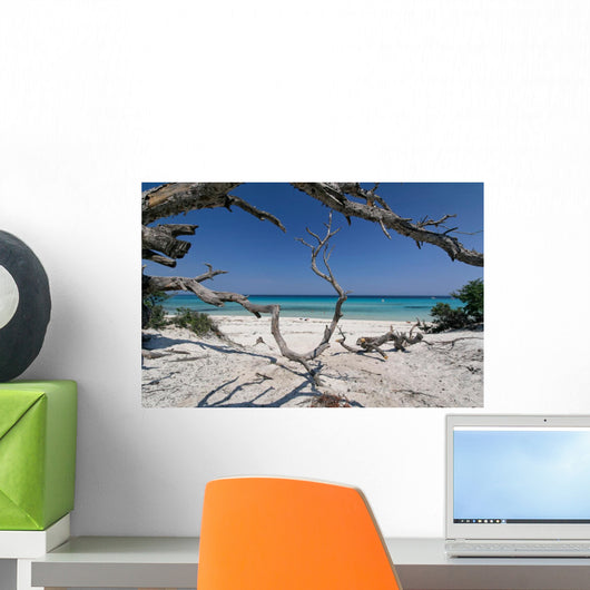 corse plage saleccia Wall Mural