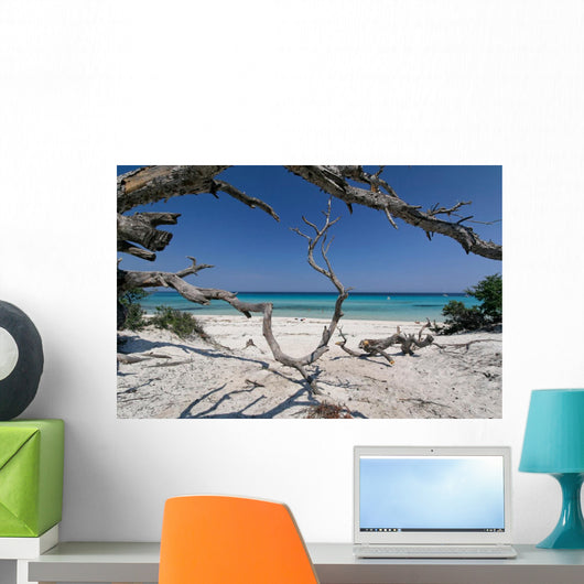 corse plage saleccia Wall Mural