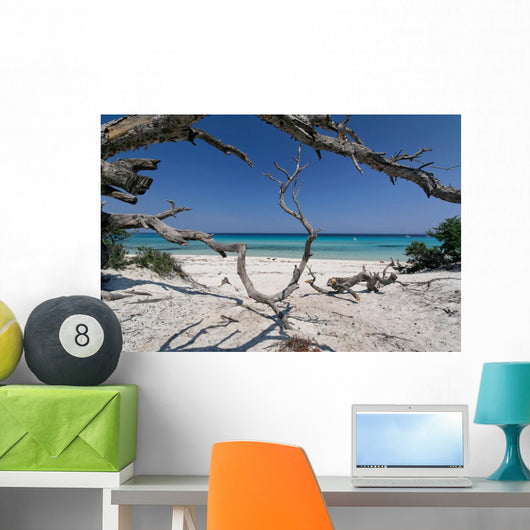corse plage saleccia Wall Mural