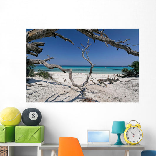corse plage saleccia Wall Mural