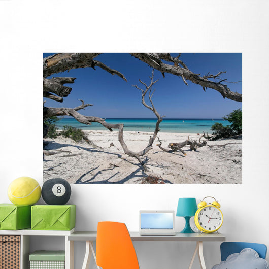 corse plage saleccia Wall Mural