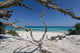 corse plage saleccia Wall Mural