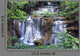Waterfall Forest