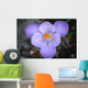 Krokus Wall Mural