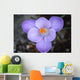 Krokus Wall Mural