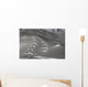 spuren im schnee Wall Mural