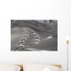 spuren im schnee Wall Mural