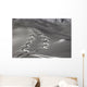 spuren im schnee Wall Mural