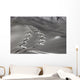 spuren im schnee Wall Mural