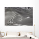 spuren im schnee Wall Mural