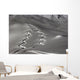 spuren im schnee Wall Mural