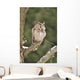 Long-eared Owl Sitting Branch Wall Mural
