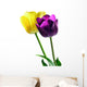 Two Lovely Tulips Wall Decal