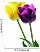 Two Lovely Tulips Wall Decal