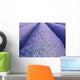 Lavender Wall Decal Design 2