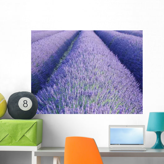 Lavender Wall Decal Design 2