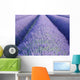 Lavender Wall Decal Design 2